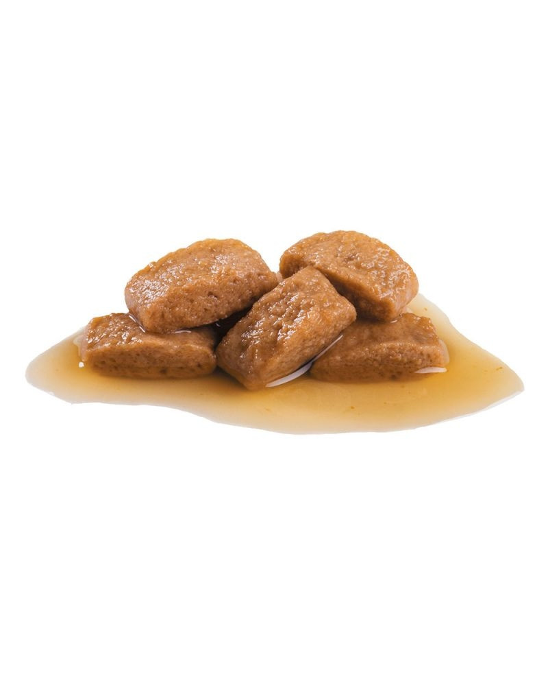 Royal Canin Maxi Adulto Wet Salsa 140gr