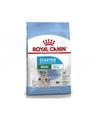 Royal Canin Mini Starter 1Kg Royal Canin Mini Starter 1Kg