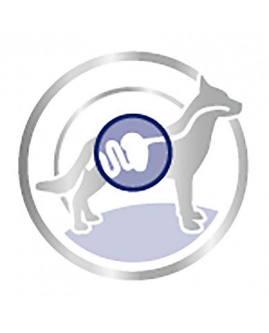 Royal Canin Maxi Adulto Wet Salsa Perros