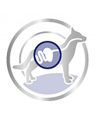 Royal Canin Maxi Adulto Wet Salsa 140gr