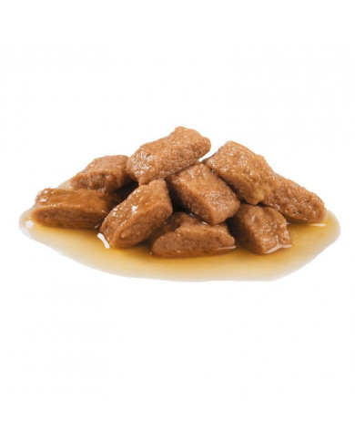 Royal Canin Medium Adulto Wet Salsa 140gr