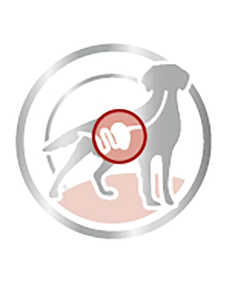 Royal Canin Medium Adulto Wet Salsa 140gr