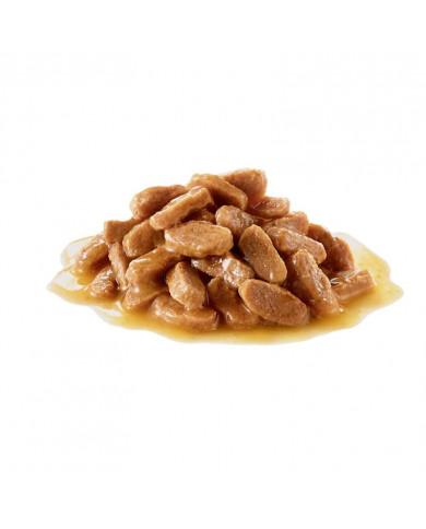 Royal Canin Medium Puppy Wet Salsa Alimento