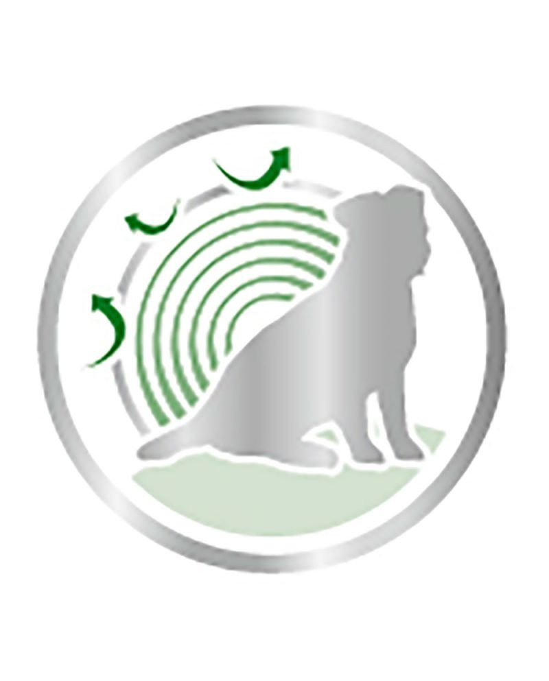 Royal Canin Mini Ageing 12+  Wet Salsa 85gr