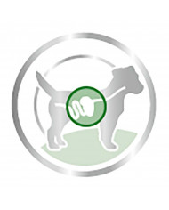 Royal Canin Mini Adulto Wet Salsa 85gr