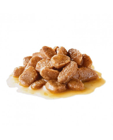Royal Canin Mini Adulto Wet Salsa Alimento