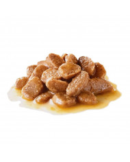 Royal Canin Mini Adulto Wet Salsa Alimento