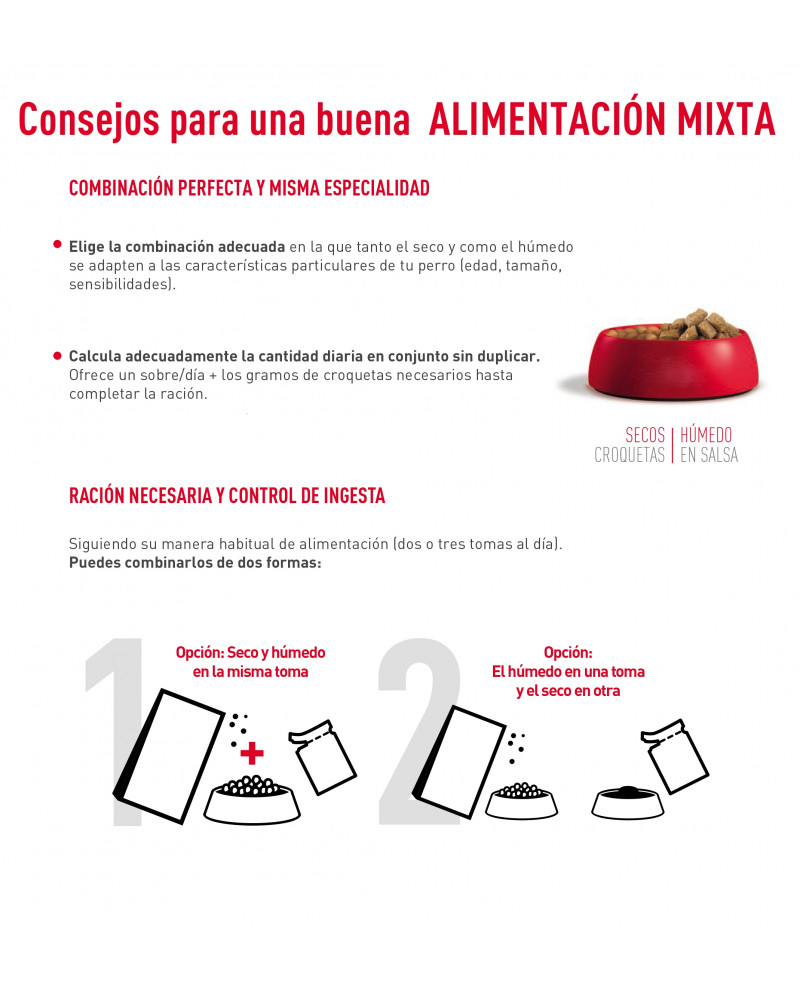 Royal Canin Mini Adulto Wet Salsa Alimentación