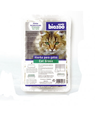 Hierba De Gatos Axis Biozoo Hierba De Gatos Axis Biozoo