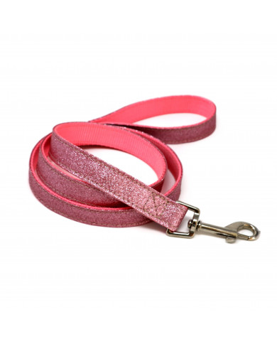 Correa Ballet Purpurine Pink 2cm x 100cm