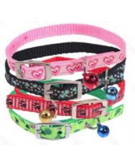 Collar Gato