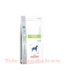 Royal Canin Weight Control DS30 5Kg