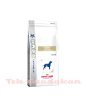 Royal Canin Fibre Response FR23 14Kg