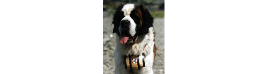 Razas Gigantes Royal canin Razas Gigantes Royal canin