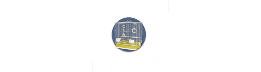Accesorios Aves Accesorios Aves
