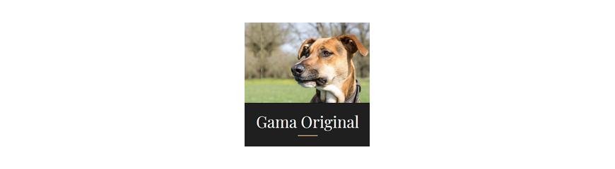 Gama Original 