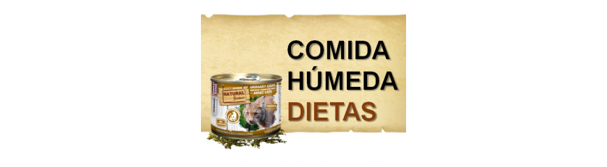 DIETA HÚMEDA  DIETA HÚMEDA
