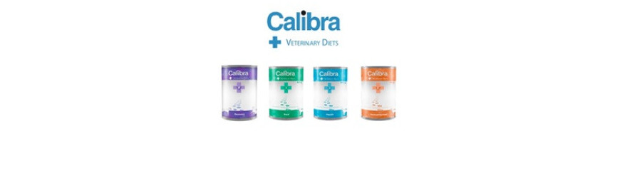 Dieta Húmeda Dieta Húmeda