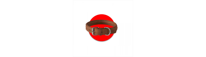 Correas, Collares y Arneses Correas, Collares y Arneses