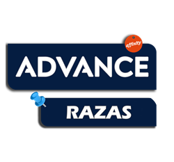Advance Razas
