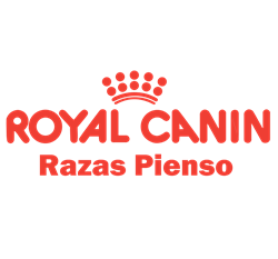 Royal Canin Razas Cat