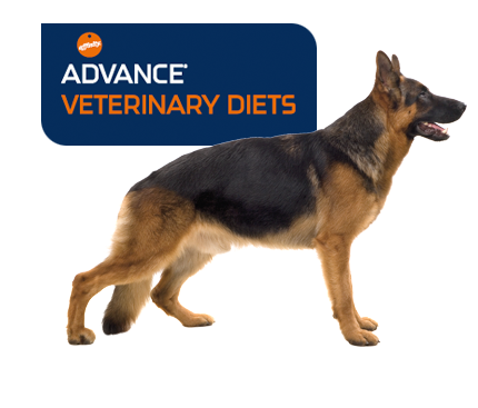 Affinity Advance Veterinary diets
