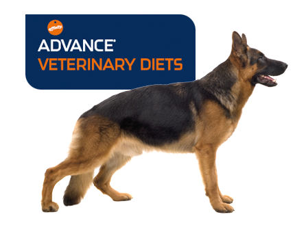 Advance Veterinary diets