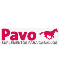 Pavo